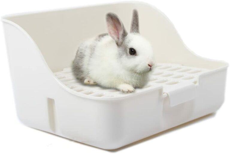 Mon Lapin Nain Fait Des Crottes Partout Accessoires lapin : Lesquels choisir pour le bonheur de mon lapin nain