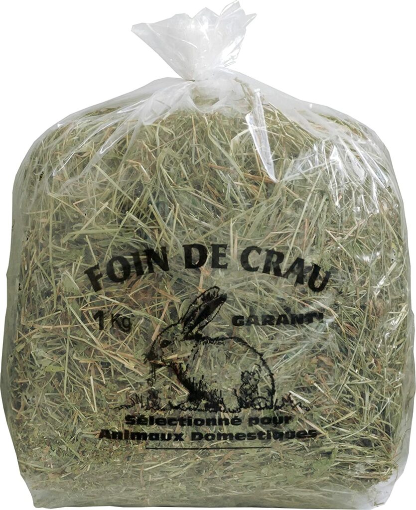 Prix Du Lapin Nain De L Achat A Son Cout Quotidien