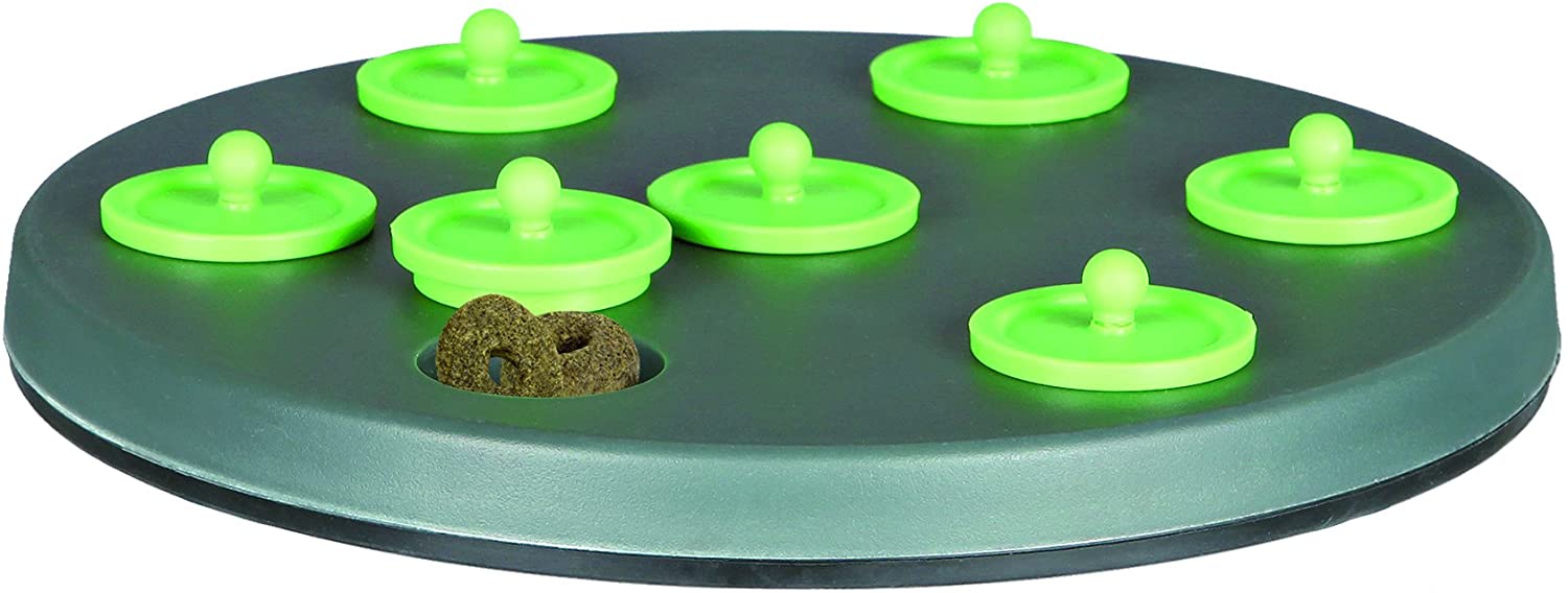 Jeux lapin : Comment créer une aire de jeux pour mon lapin nain