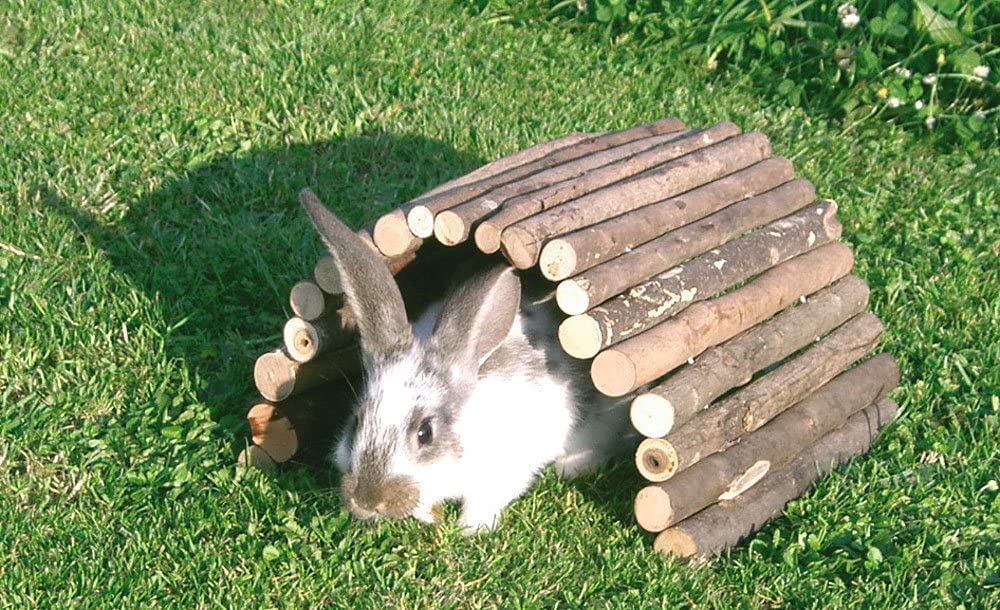 pont passerelle bois lapin nain kerbl