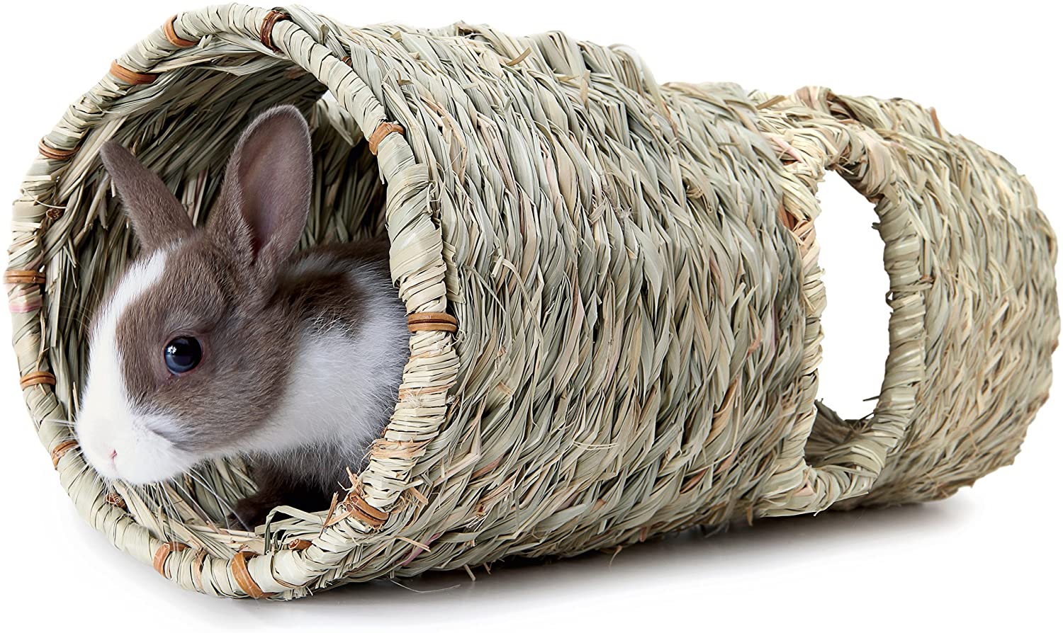 tunnel lapin nain rongeur living world